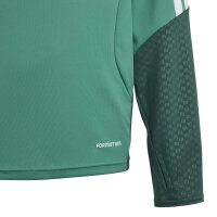 adidas Algerien 26 Training Trainingsjacke Kinder - cougrn