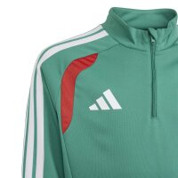adidas Algerien 26 Training Trainingsjacke Kinder - cougrn