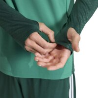adidas Algerien 26 Training Trainingsjacke Herren - cougrn
