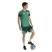 adidas Algerien 26 Training kurze Hose Herren - drkgrn