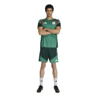 adidas Algerien 26 Training kurze Hose Herren - drkgrn