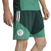 adidas Algerien 26 Training kurze Hose Herren - drkgrn