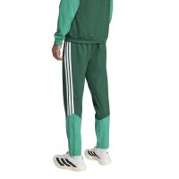 adidas Algerien 26 Presentation lange Hose Herren - drkgrn