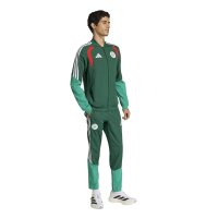 adidas Algerien 26 Presentation lange Hose Herren - drkgrn