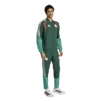 adidas Algerien 26 Presentation Jacken Herren - drkgrn