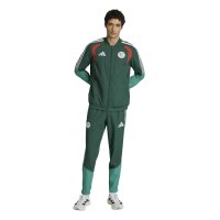 adidas Algerien 26 Presentation Jacken Herren - drkgrn