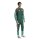 adidas Algerien 26 Presentation Jacken Herren - drkgrn