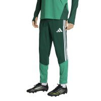 adidas Algerien 26 Training Trainingshose Herren - drkgrn