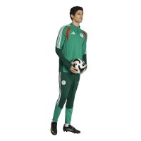 adidas Algerien 26 Training Trainingshose Herren - drkgrn