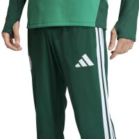 adidas Algerien 26 Training Trainingshose Herren - drkgrn