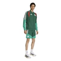 adidas Algerien 26 Downtime kurze Hose Herren - drkgrn