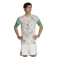 adidas Algerien 26 Auswärts Pre-Match Trikot Herren - magbei