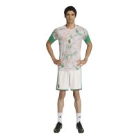 adidas Algerien 26 Auswärts Pre-Match Trikot Herren - magbei