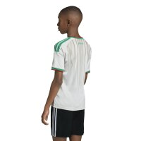 adidas Algerien 26 Heim Trikot Kinder - cwhite