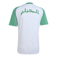adidas Algerien 26 Heim Pre-Match Trikot Herren - white