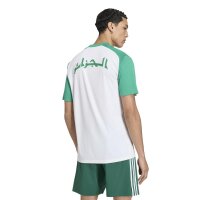 adidas Algerien 26 Heim Pre-Match Trikot Herren - white