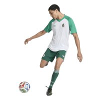 adidas Algerien 26 Heim Pre-Match Trikot Herren - white