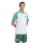adidas Algerien 26 Heim Pre-Match Trikot Herren - white