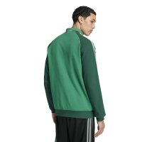 adidas Algerien 2026 Auswärts Trainingsjacke Herren - cougrn/drkgrn