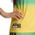 adidas Jamaika 26 x Bob Marley Heim Pre Match Trikot Damen - bogold/vivgrn/purrub