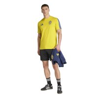 adidas Schweden Dna T-Shirt Herren - yellow
