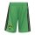 adidas Jamaika 26 x Bob Marley Heim Set Trikotset Kinder - bogold