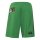 adidas Jamaika 26 x Bob Marley Heim Set Trikotset Kinder - bogold
