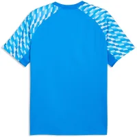 Puma teamLIGA26 Trikot Herren - blau