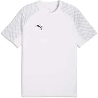 Puma teamLIGA26 Trikot Herren - weiß