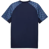 Puma teamLIGA26 Trikot Herren - blau