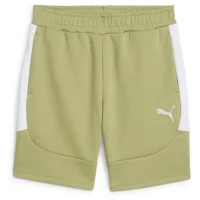 Puma teamEVOSTRIPE Shorts Herren - grün
