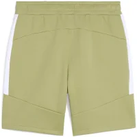 Puma teamEVOSTRIPE Shorts Herren - grün