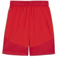 Puma teamFINAL Shorts Herren - rot