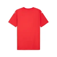 Puma teamFINAL Graphic Trikot Herren - rot