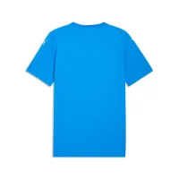 Puma teamFINAL Graphic Trikot Herren - blau