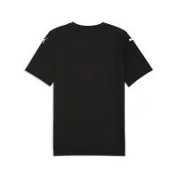 Puma teamFINAL Graphic Trikot Herren - schwarz