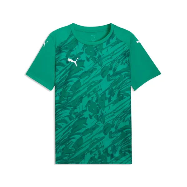 Puma teamFINAL Graphic Trikot Herren - grün