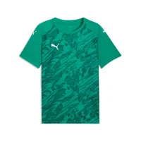 Puma teamFINAL Graphic Trikot Herren - grün