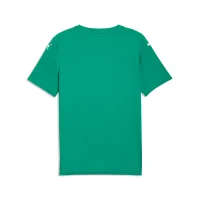 Puma teamFINAL Graphic Trikot Herren - grün