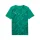 Puma teamFINAL Graphic Trikot Herren - grün
