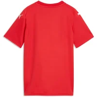 Puma teamFINAL Graphic Trikot Kinder - rot