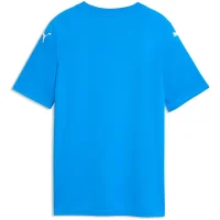 Puma teamFINAL Graphic Trikot Kinder - blau