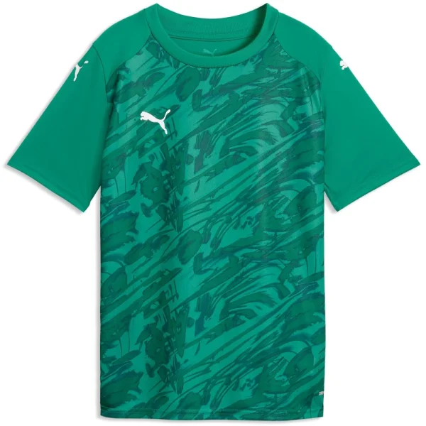 Puma teamFINAL Graphic Trikot Kinder - grün