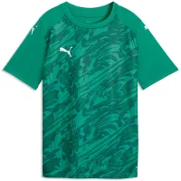 Puma teamFINAL Graphic Trikot Kinder - grün