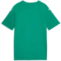 Puma teamFINAL Graphic Trikot Kinder - grün