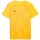 Puma teamFINAL Graphic Trikot Kinder - gelb