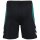 hummel SV Werder Bremen Travel Shorts 26/27 Herren - schwarz/grün
