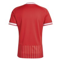 adidas 1. FC Köln Trikot Away 26/27 Herren -...