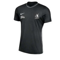 DJK Holzbüttgen x Nike Park 26 Dri-FIT Trikot Kinder...
