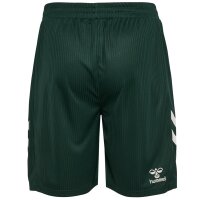 hummel SV Werder Bremen Shorts Away 26/27 Herren -...
